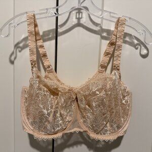 Empriente lace bra 36F